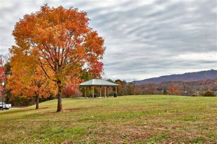 Discover The Impactful Activism Of Angela Hinton In Willow Springs, NC