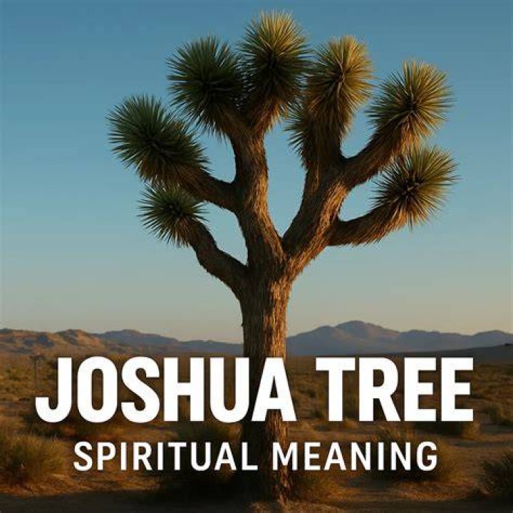 Unveiling Anthony Joshua's Spiritual Journey: Insights And Discoveries