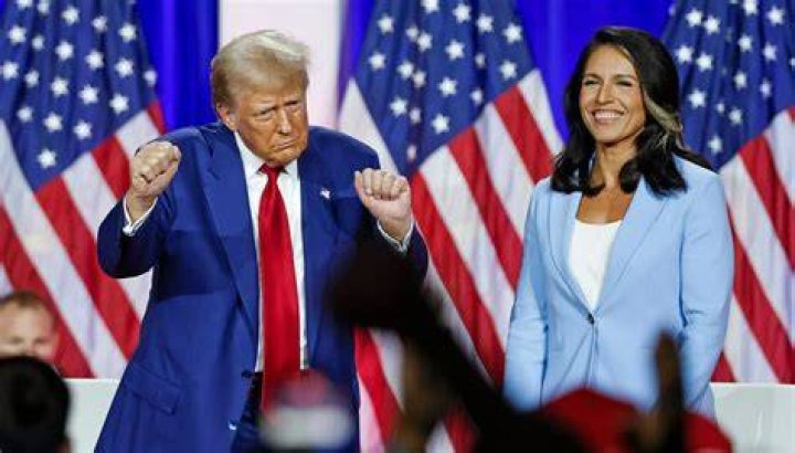 Unveiling The Secrets Of Tulsi Gabbard's Salary: A Comprehensive Analysis